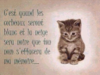 amitié